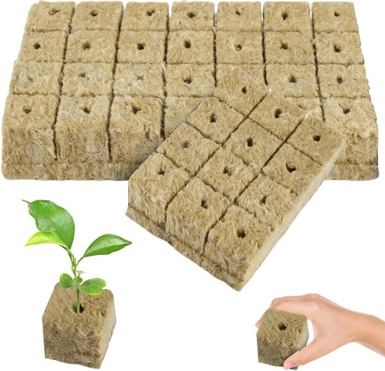 Matrice di crescita per steccatura 4 x 4 x 4 cm - Coltivazione idroponica senza terriccio per stecchi e cloni - 42 pezzi