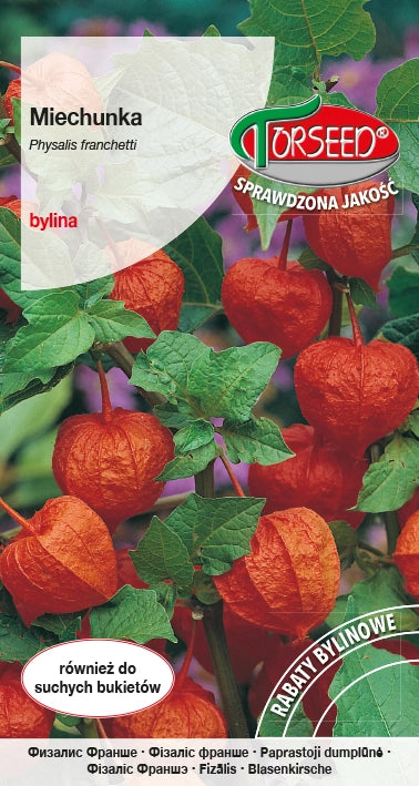 Physalis alkekengii arancia 0,5 g