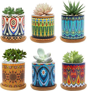 Pianta da interno e da esterno in ceramica con disegno mandala, piatto per piante da 7,5 cm, set di 6 con piatto per cibi in bambù