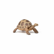 Papo - Hermann`s tortoise