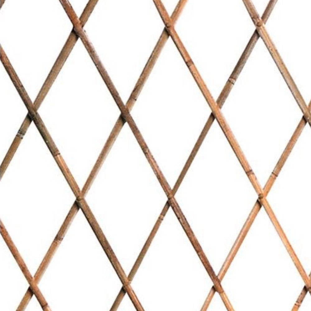 Trade Shop - Traliccio Rete Bambù Bamboo 180 X 60 Cm Estensibile Bamboo Piante Rampicanti -