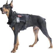 Cintura per cani FIRE Watcher Tattica cintura per cani con molle per allenamento cani cintura per cani 1000D nylon (M, nero)