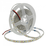 Striscia LED 5m 9,6W/m 600lm 6500K 12V IP20 dimmerabile