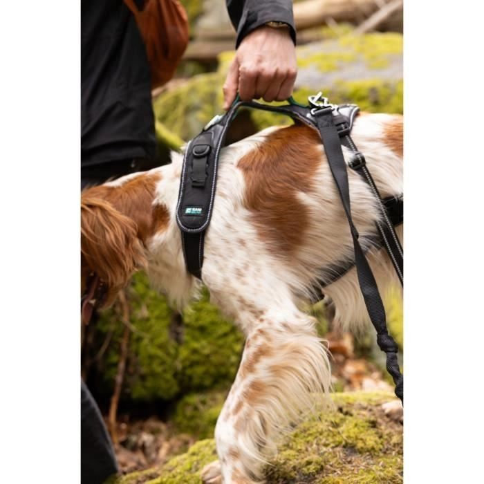 Pettorina per cani - SYMBIOZ - XS - Nera / Blu