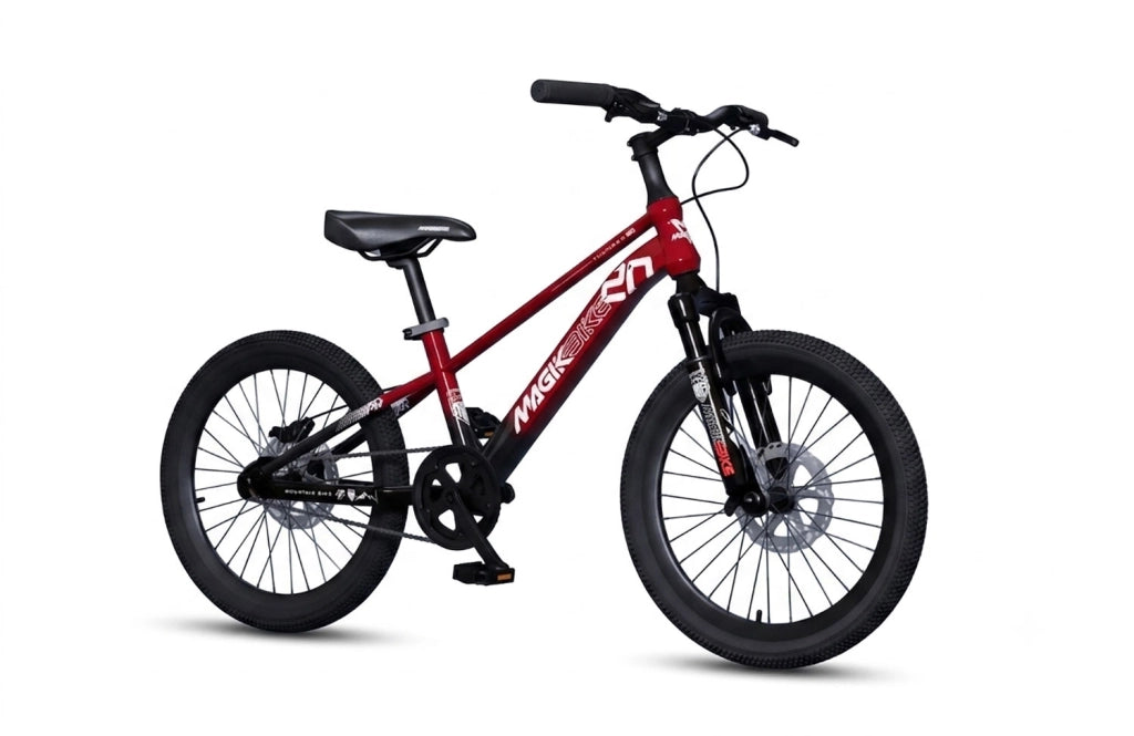 Bicicletta per Bambini 6-8 Anni 20" con Freni a Disco Rosso e Nero