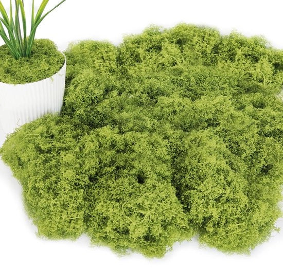 150g Filamento Nylon Luminoso Verde per Decorazione e Modellismo Senza Manutenzione Adatto per Acquario, Terrario e Modello