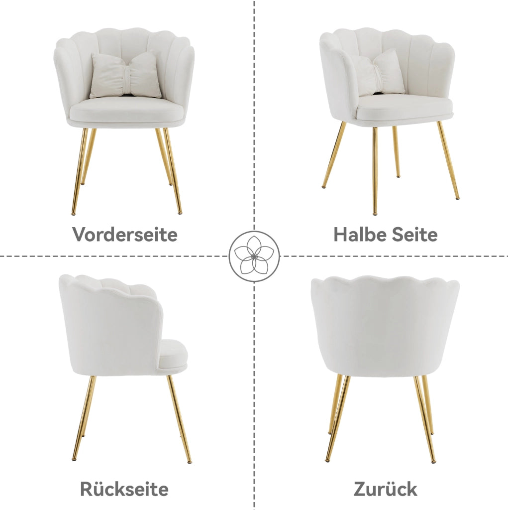 Set di 2 sedie da soggiorno in velluto beige con schienale a petalo; gambe metalliche dorate