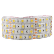 Striscia LED 12V 5m IP65 6500K 2300lm bianco freddo Polux