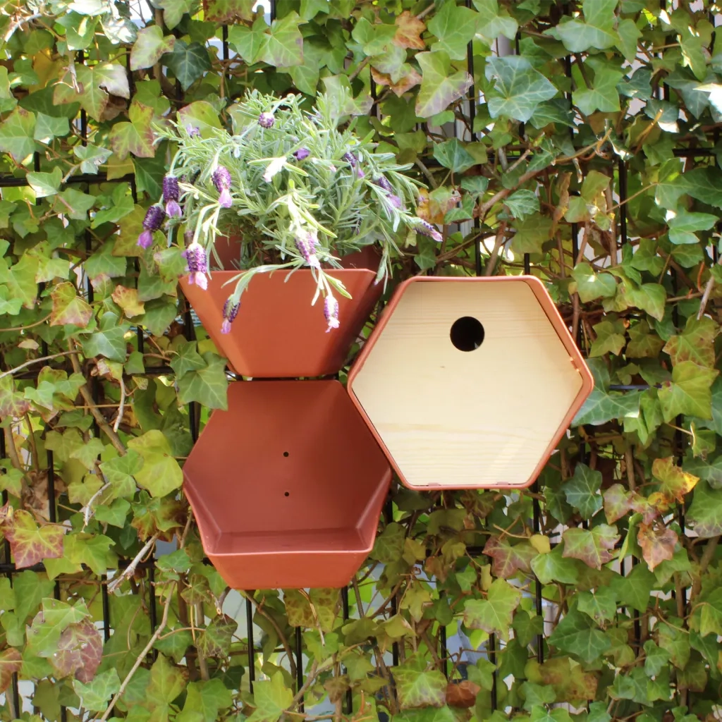 Capi Casetta per Uccelli Hive 1 19x23x20 cm Foro Rotondo Marrone 447494