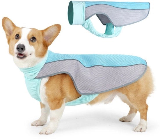Caninocooler - Caninocooler leggero - Caninocooler ademabile con mesh - Con strisce riflettenti - Illuminazione antiscaldo estivo - Adatto per spiaggia, camminata, escursione, esterno, caccia, allenamento, campeggio (S)