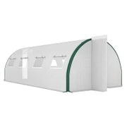 Serra a Tunnel 6x3 m con 2 Ingressi e 8 Finestre, in PE, Poliestere e Acciaio Zincato, Bianco e Verde