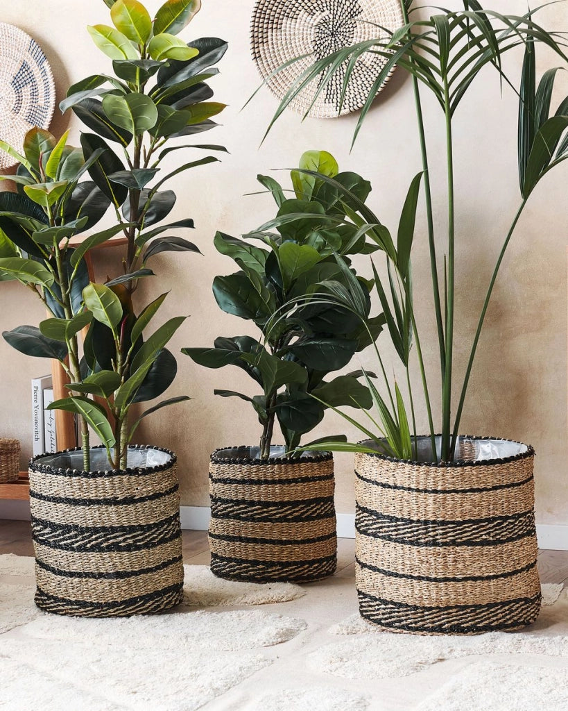 Set di 3 cestini per piante vasi per fioriere in alghe naturali con rivestimento per interni