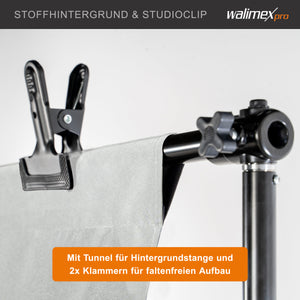 Set premium per studio fotografico incl. 2x treppiede lampada, 2x softbox LED 45 W bicolore e sfondo, potente illuminazione video per interno