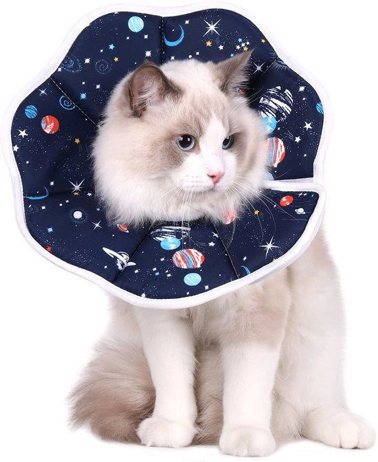 Collare per gatti adattabile per il recupero, collare accattivante e confortevole per gatti, taglia M