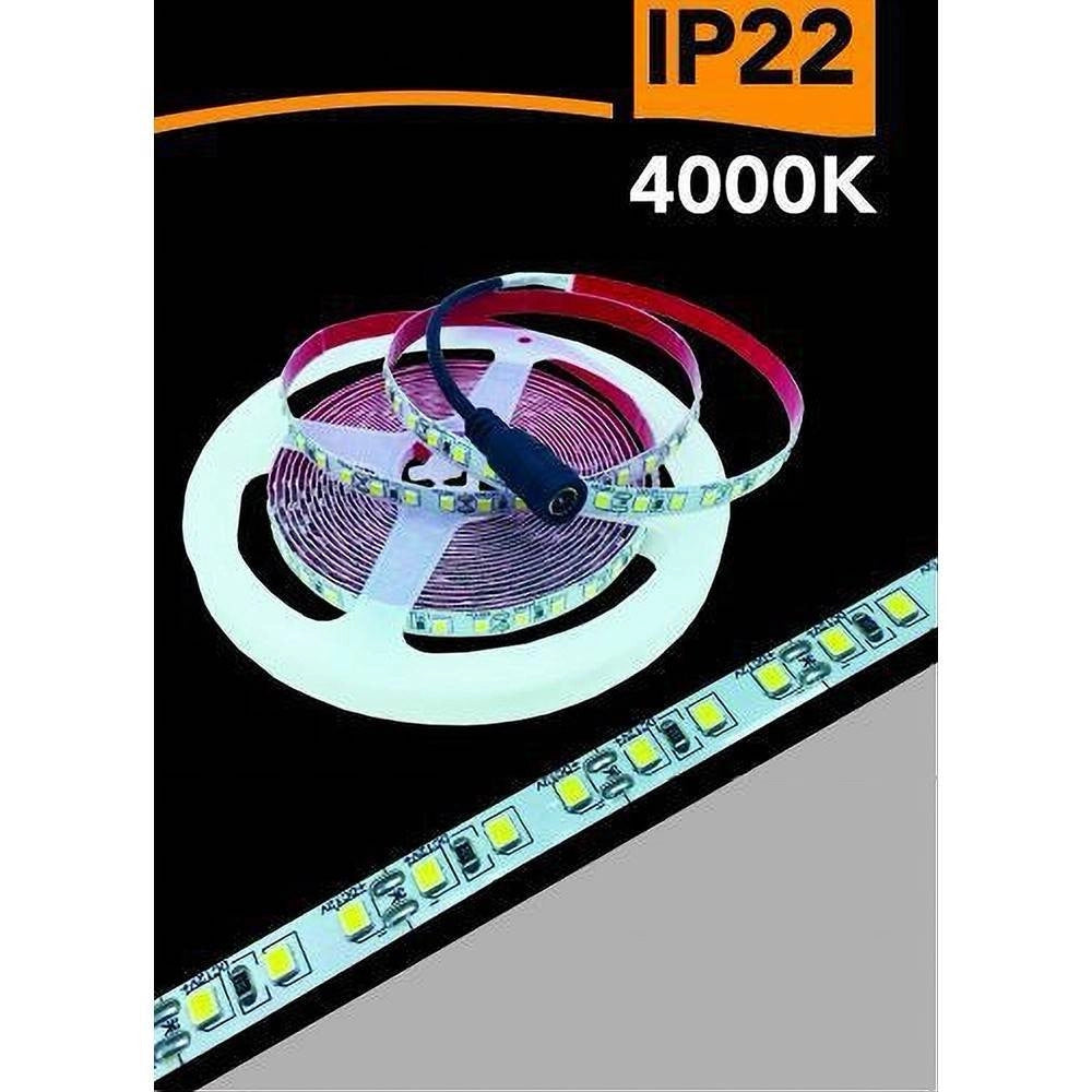Trade Shop - Striscia Led 2835 Strip 5mt Bobina Luce 3000k 4000k 6500k Blu Ip22 2835-12v -