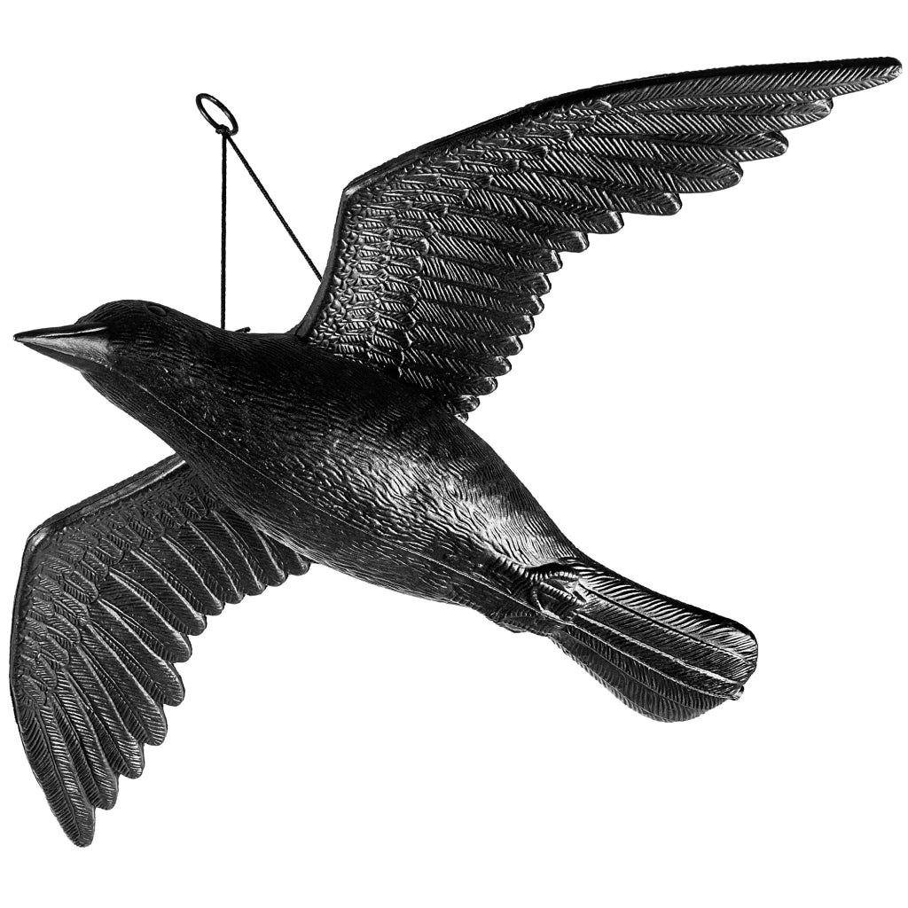 KADAX Grande spaventapasseri a forma di corvo per balconi, ideale per allontanare piccioni e storni in volo (56 cm)