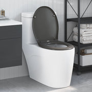 Sedile del WC a rilascio rapido con chiusura morbida Duroplast Antracite