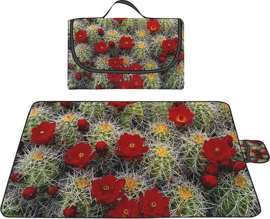 Pannello da Picnic Idrorepellente da 200 x 300 cm con Maniglia - Lavabile in Lavatrice e Adatto per Campeggio, Spiaggia e Giardino