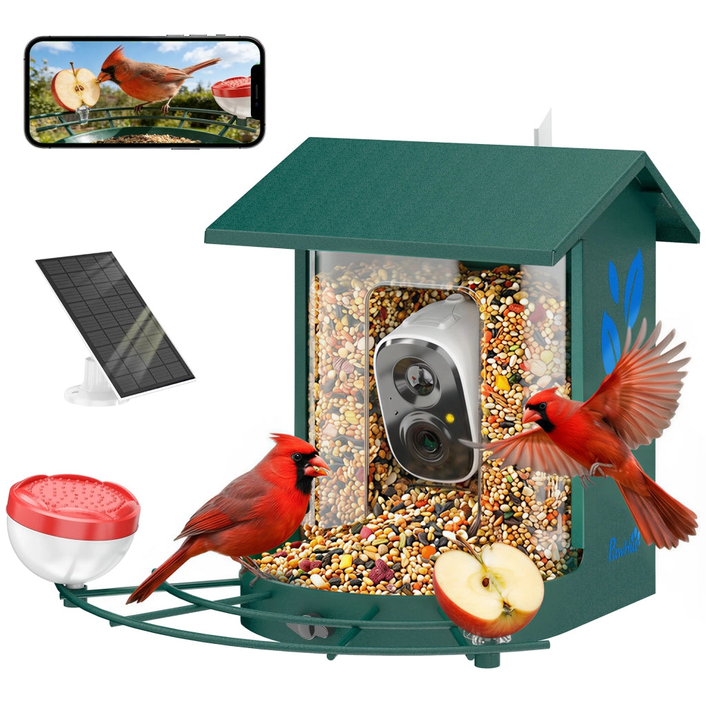 Mangiatoia Uccelli con Videocamera Intelligente 2K ¨C zephmum ¨C Verde Acciaio Solare 30x34.5x26.3 cm