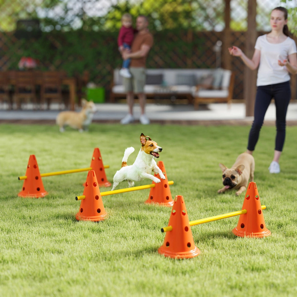 Set Agility 3 Pezzi per Cani ¨C Minimal ¨C Con 6 Coni e 3 Ostacoli in Tasca