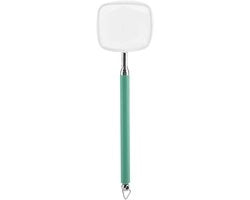 Accessorio per vasca acquatica estensibile per pesci e gamberi - Set di schiuma telescopico - Lunghezza manico 19,8-55,9 cm - Accessorio per vasca acquatica