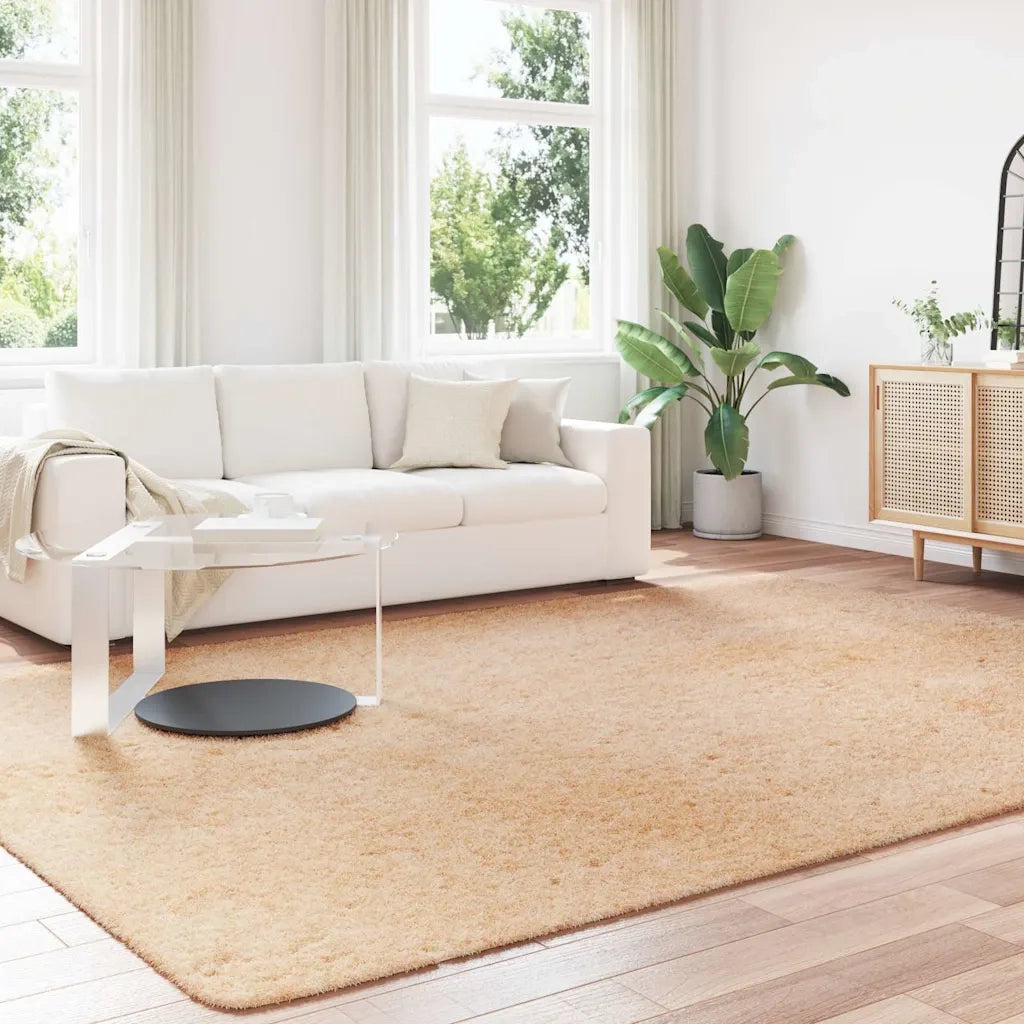 Tappeto del soggiorno | Tappeto Shaggy a Pelo Lungo NAVARRA Beige 240x340 cm poliestere