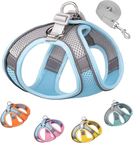 Set di Cappottine per Cani e Cinturino - Cappotto di Pelo - Comodo per Cani - 2XS - Blu