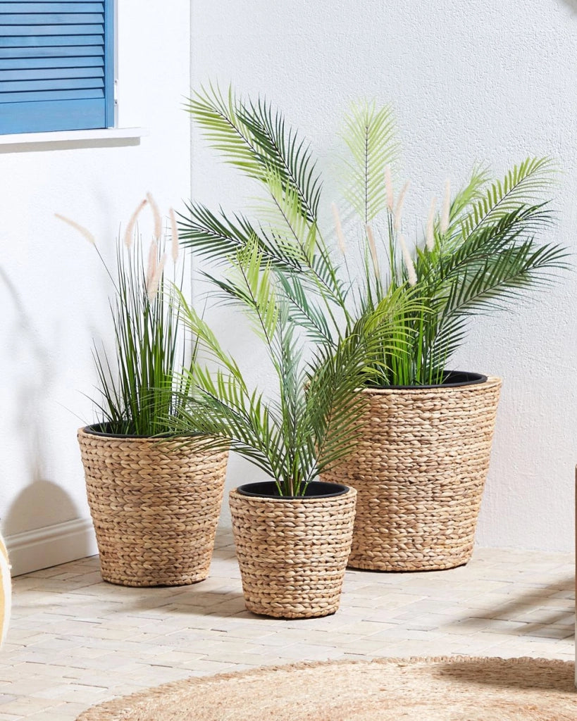 Set di 3 vasi per piante da interno e da esterno rotondi in giacinto d'acqua naturale