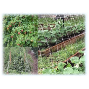 Reti Ortofrutta In Nylon Sostengreen