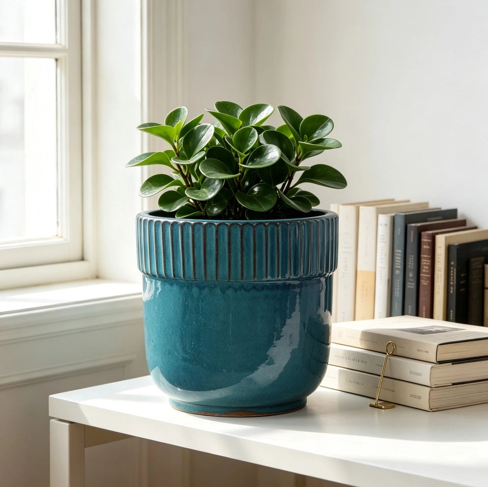 Fioriera in ceramica fatta a mano con drenaggio e finitura lucida turchese Ø 30,5 cm per interni e balcone
