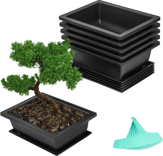 Set di 6 Pannelli di Addestramento per Bonsai - Trays per l'Idratazione - 165 x 225 cm - Materiale Plastico Duraturo - Pannelli per Bonsai per Giardino