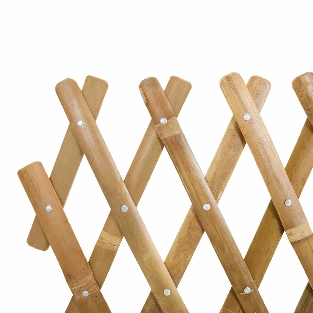 Recinto Trellis Espandibile 2 pz Marrone Chiaro 100 x 105 cm CFW9078196
