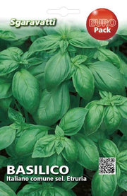 SEMI PER ORTAGGI E VEGETALI basilico italiano comune sel. Etruria- 20 pezzi  - SGARAVATTI