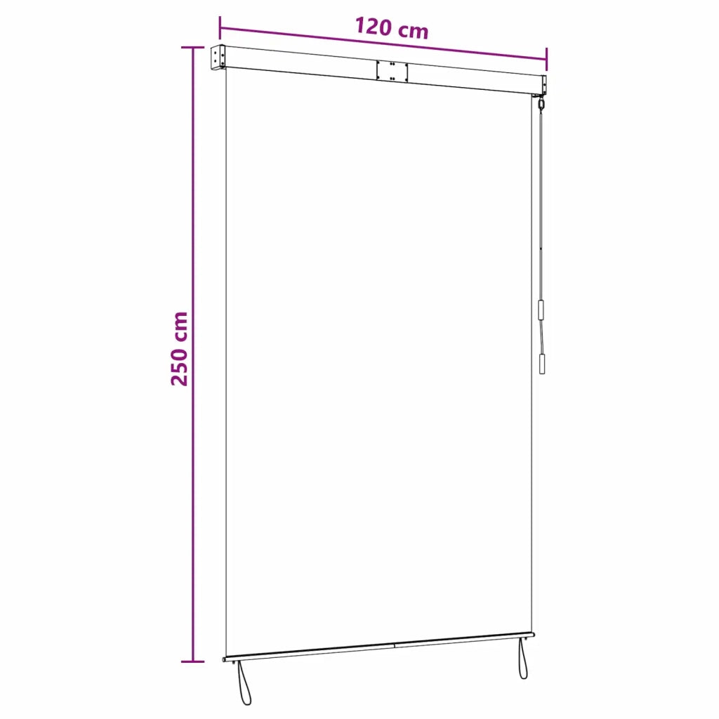 Tenda a rullo Grigio Chiaro 120 x 250 cm Tessuto e Alluminio 42037184