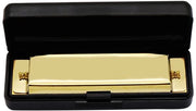 Harmonica Diatonica Professionale 10 Fori - Strumento Musicale Metallico - Educativo per Principianti - Formato Miniportatile - Alta Qualità di Suono - Harmonica per Bocca