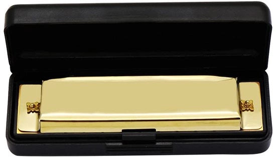 Harmonica Diatonica Professionale 10 Fori - Strumento Musicale Metallico - Educativo per Principianti - Formato Miniportatile - Alta Qualità di Suono - Harmonica per Bocca