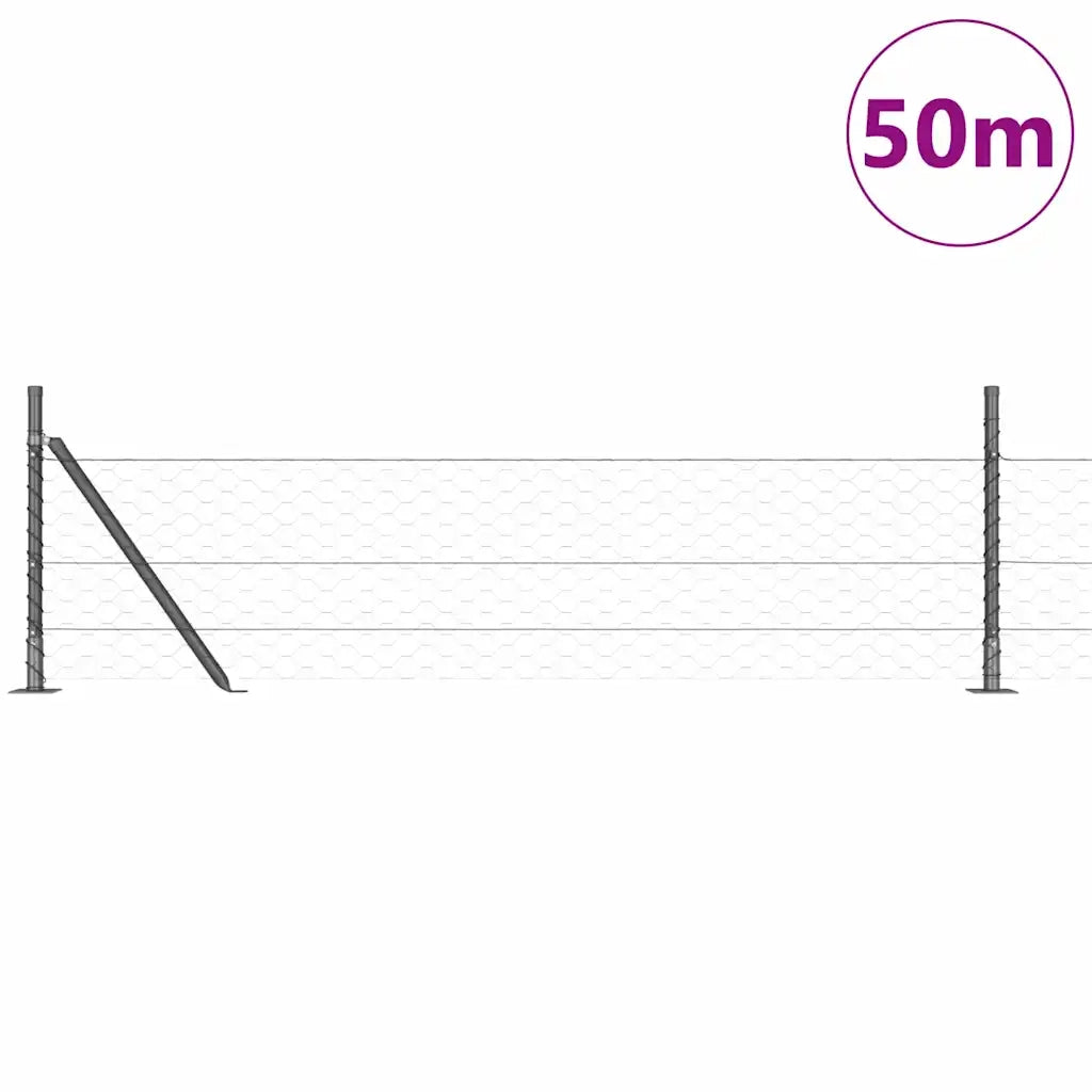 Palo della recinzione Grigio 50 x 0,5 m (rete da 50 mm)