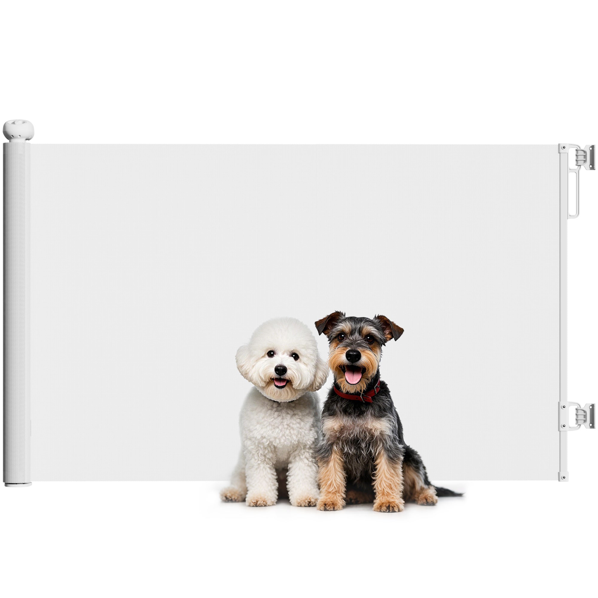 Cancellino per Cani Regolabile per Cani Piccoli Estensibile e Retrattile 0-140x86,5 cm Bianco