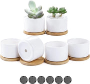 Mini vasi ceramici per piante con tavola di bambù - Set di 6 per decorazione ufficio casa