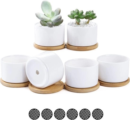 Mini vasi ceramici per piante con tavola di bambù - Set di 6 per decorazione ufficio casa