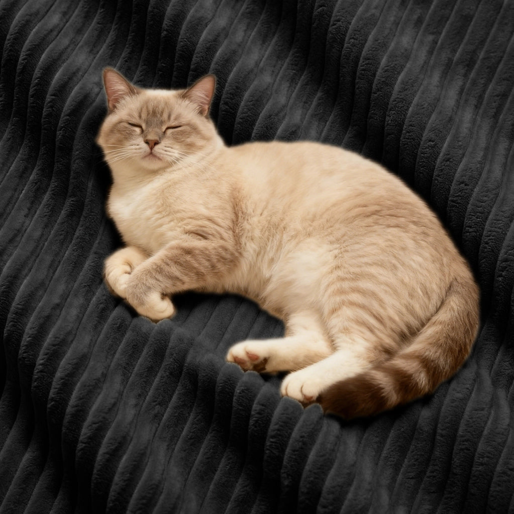 Divano modulare boneless in corduroy nero; 293x177x69 cm