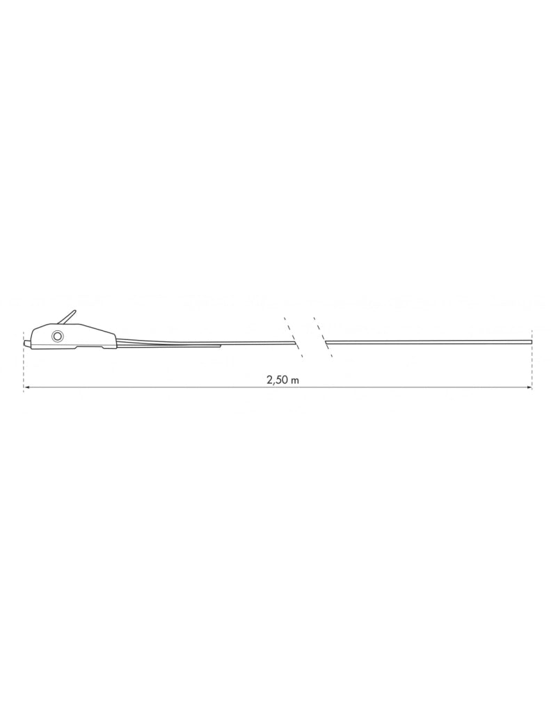 Set di 2 cinghie con fibbia autobloccante – THIRARD