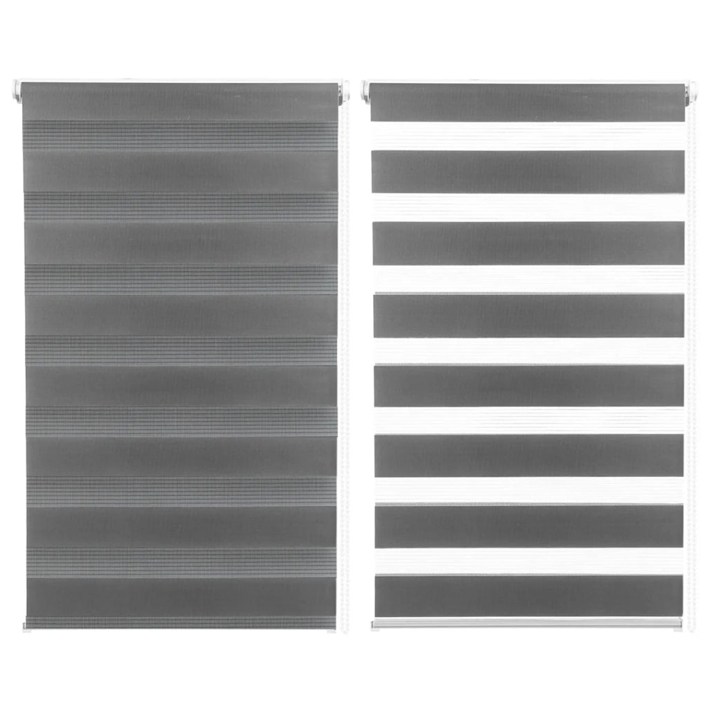 IDMarket - Set di 2 tende a rullo, giorno e notte, 55x170 cm, grigio