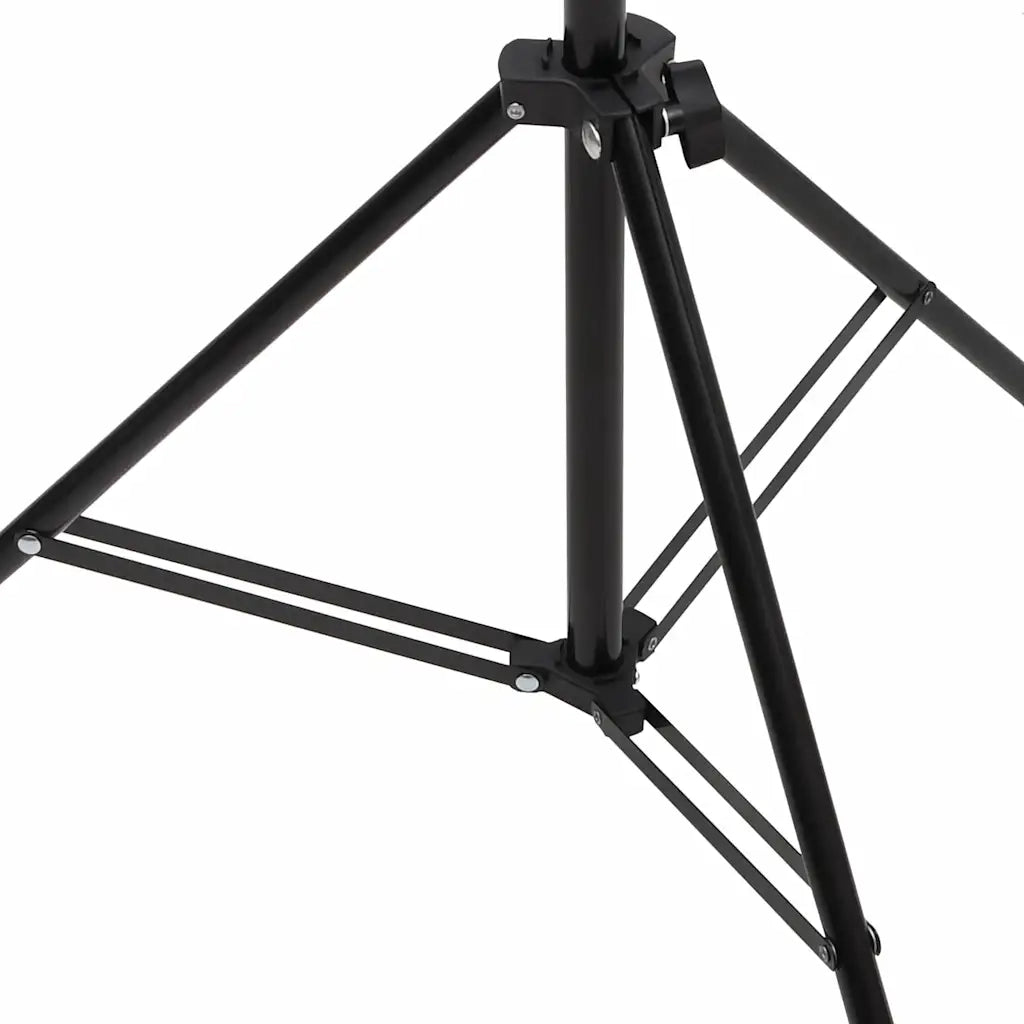 Supporto per Sfondo a T Nero 201x60x(70-200) cm 190253