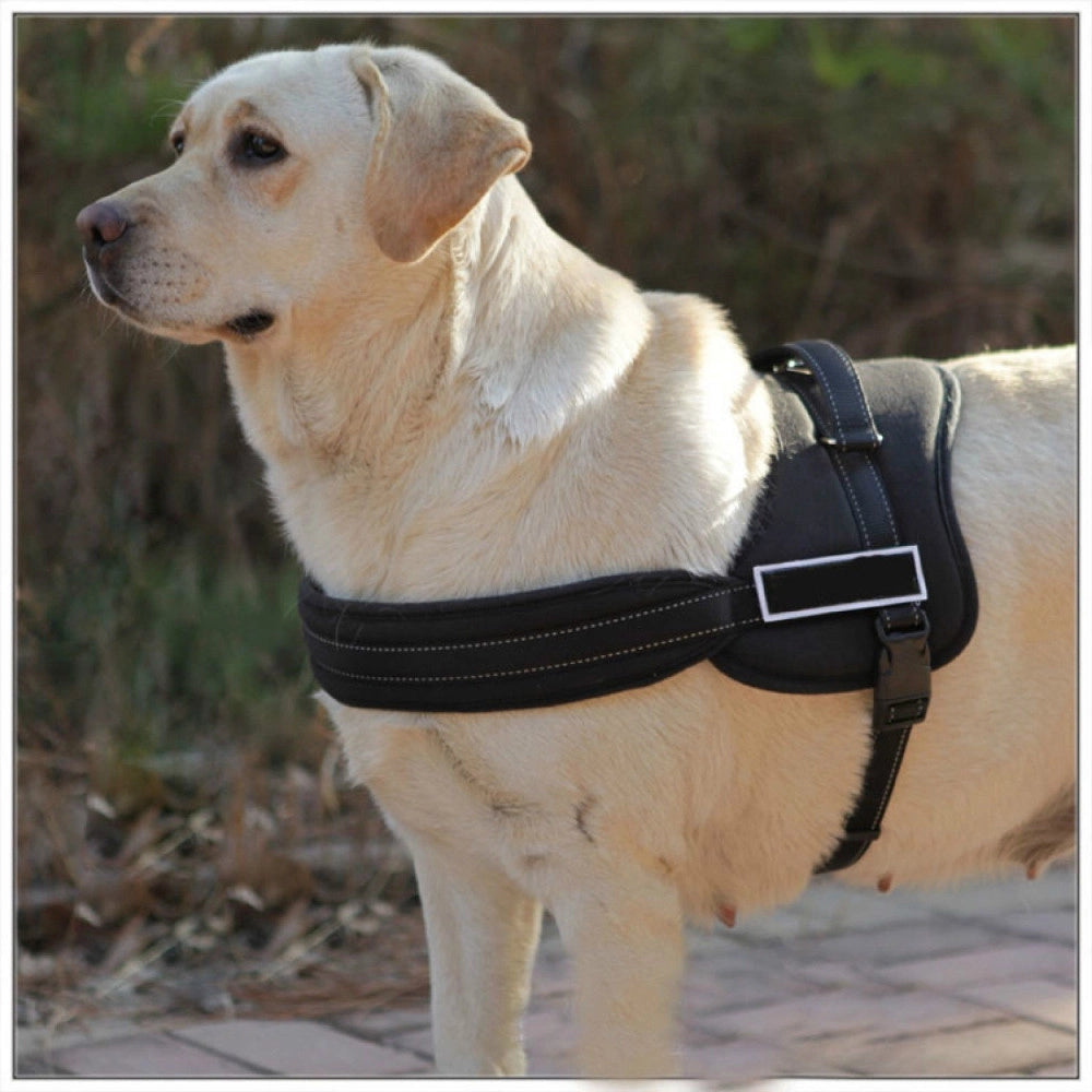 Trade Shop - Pettorina Cinghia Cani Cane Bardatura Cintura Imbragatura Addestramento -    Xs
