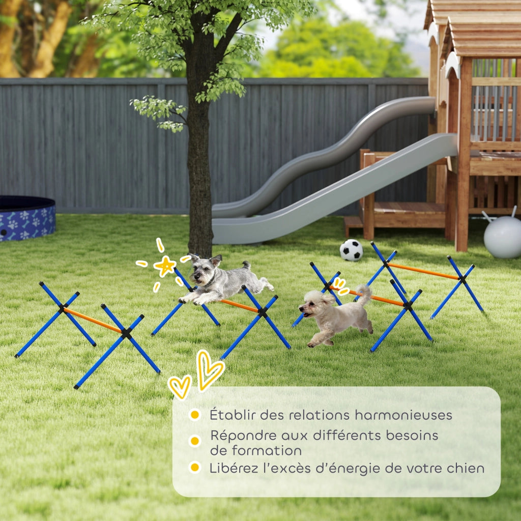 Kit Agility per Cani con Ostacoli Regolabili ¨C Xylo ¨C Portatile con Borsa Arancione