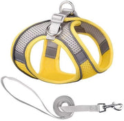 Cinturoni per cani - Linea anti-fuga per piccoli cani - Cinturone per gatti regolabile - Giacca per gatti con riflessi e respirazione - Linea di cinturoni per cani piccoli e medi - XS