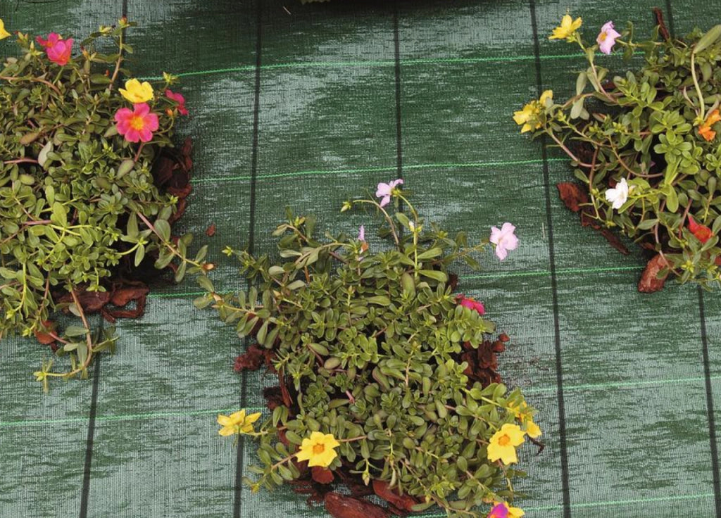 Telo Pacciamatura Drenante Verde Per Giardino, Serra, Orto Anti Erbacce - 20x1.57 - Telo