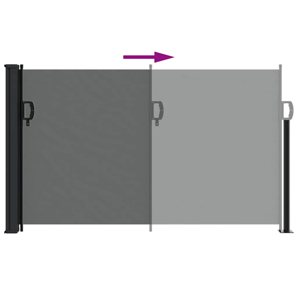 Tenda da Sole Laterale Retrattile-Tenda parasole per balcone antracite 120x500 cm