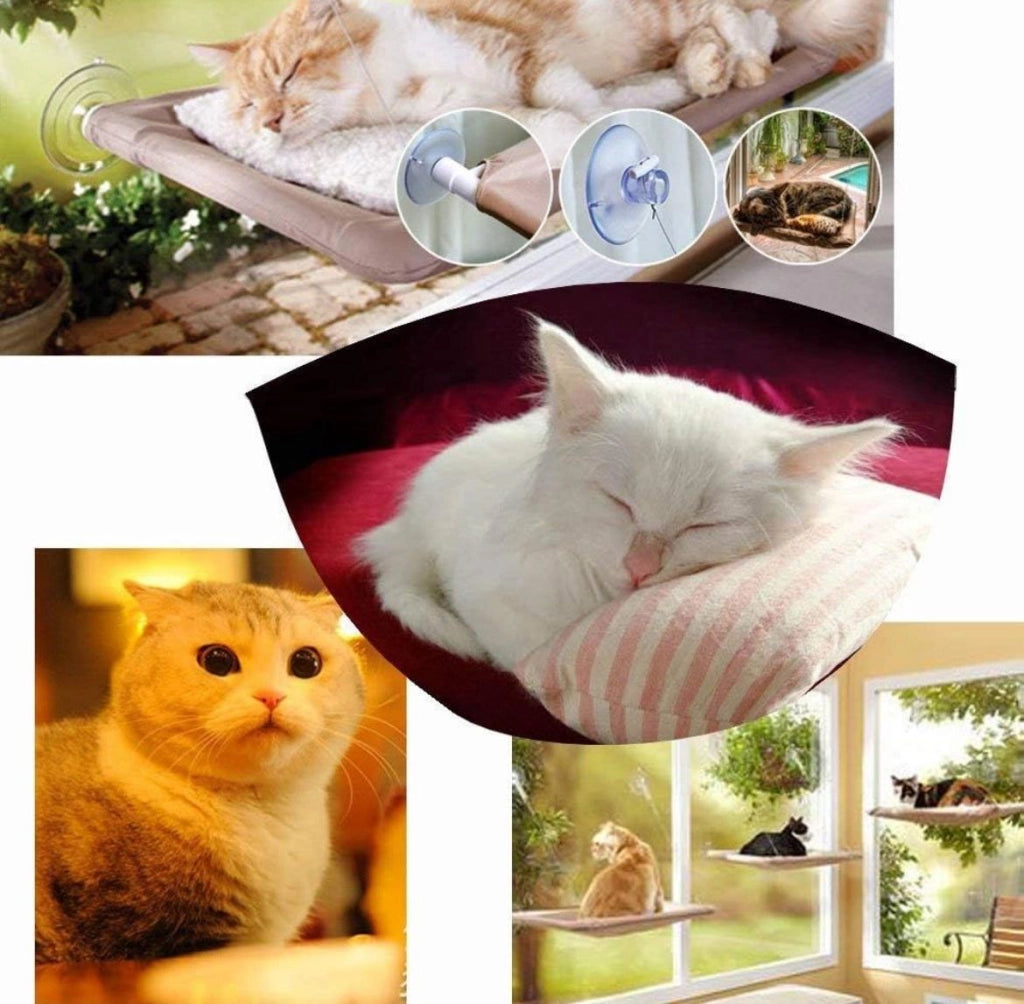 Amaca Letto Cuccia per Gatti Gatto da Finestra con Ventose Universale Interno